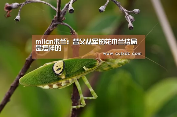 milan米兰app官网