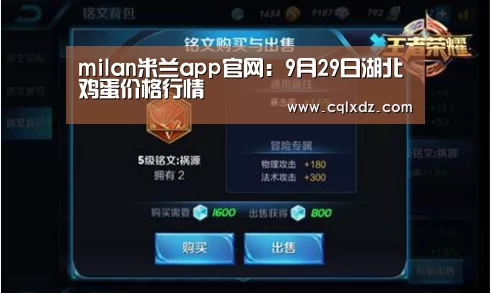 milan米兰app官网