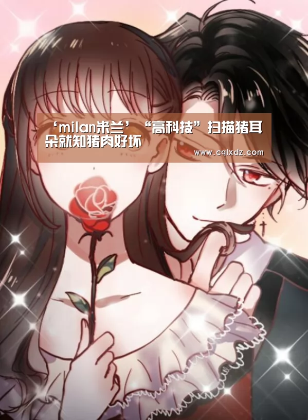 milan米兰